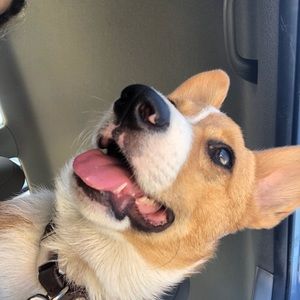 Meet your Posher, Roberto